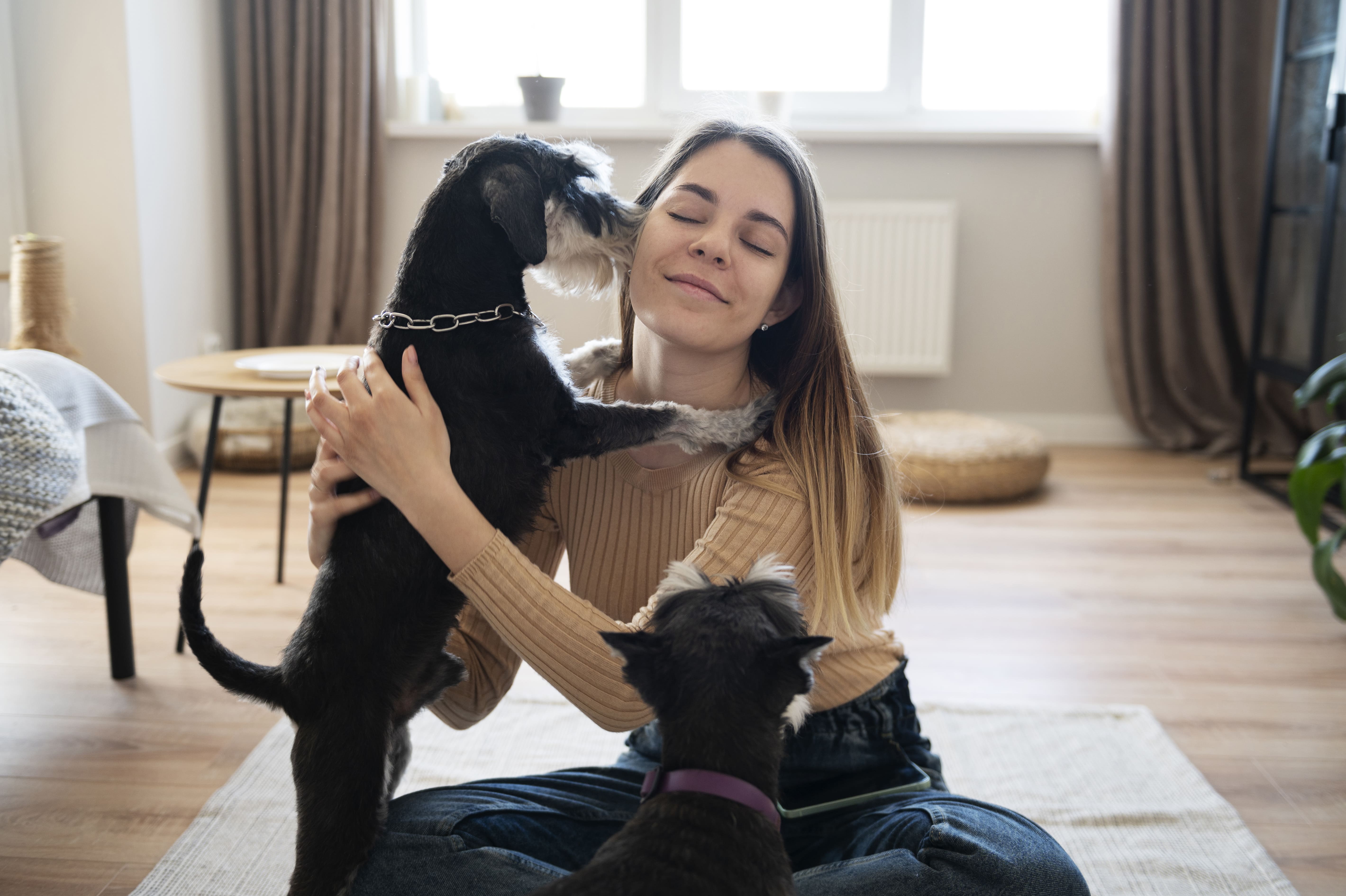 Host a Pet - Civanje - sitter kucnih ljubimaca